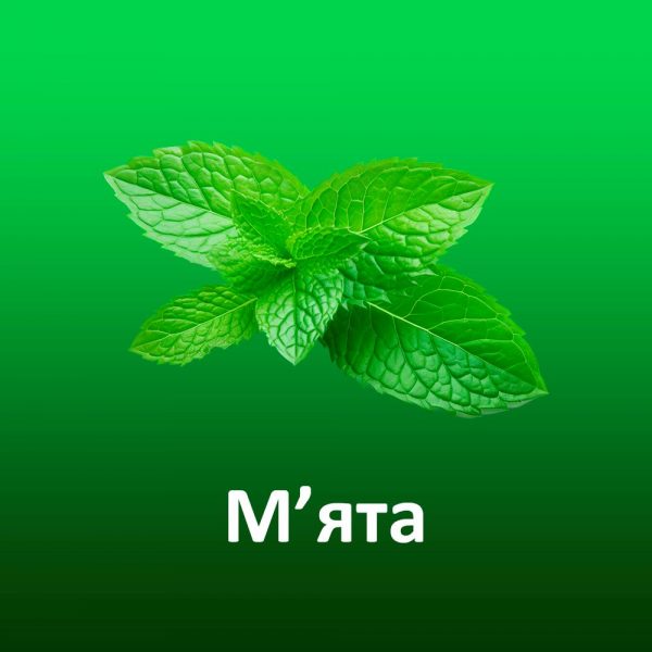 Сироп для слашу NAC М'ята 5 л (Італія)